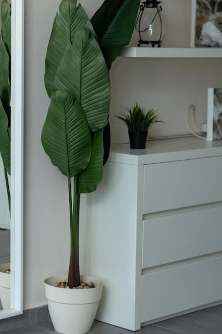 סלוניקי Deko Penthouse Suite מראה חיצוני תמונה